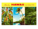 Aloha from Hawaii