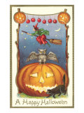 Witch  Owl Perched on Jack O'Lantern
