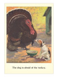 Dog Afraid of Turkey
