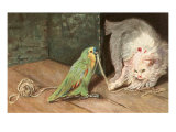 Cat Playing with Parrot