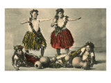 Hawaiian Hula Dancers