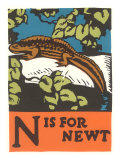 N is for Newt