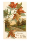 Maple Leaves and Forest Trail