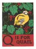 Q is for Quail