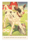 Calf with Pail