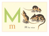 M is for Mice