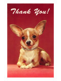 Thank You  Chihuahua