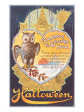 Halloween  Owl and Poem