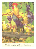 Rooster with Grapes