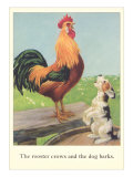 Rooster Crows and Dog Barks
