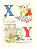 X is for Xylophone  Y is for Yard