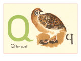 Q is for Quail