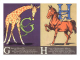 Giraffe and Horse