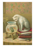 Cat Watching Frog and Fish