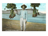 Taro Peddler  Hawaii