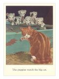Puppies Watch Big Cat