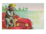 Teddy Bear Driving Fire Engine