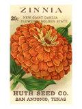 Zinnia Seed Packet