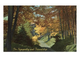 In Sympathy and Friendship  Shady Forest Glen