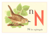 N is for Nightingale