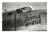 Nose Art  Fertile Myrtle