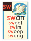 SW for Swan