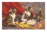 Four Kittens with Saucer and Daisies