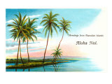 Greetings from the Hawaiian Islands  Aloha Nui