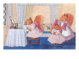 Domestic Squirrels in Bedroom