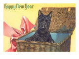 Happy New Year  Scotty Dog