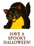 Have a Spooky Halloween  Black Cat