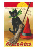 Halloween  Cat and Broom