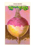 French Rutabaga Seed Packet