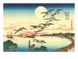 Japanese Illustration  Flying Geese