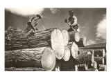 Lumber is King  North Idaho