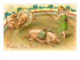 Happy New Year  Performing Pigs