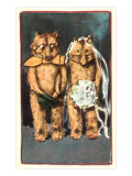 Teddy Bear Wedding