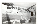 Nose Art  Pappy's Passion Pin-Up with Stork