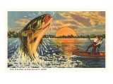 Fishing is Excellent Here  Catching Giant Fish