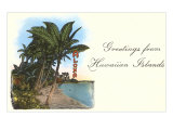 Greetings from Hawaiian Islands