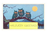 Three Owls in the Moonlight
