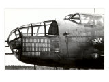 Nose Art  Little Joe