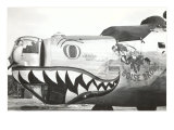 Nose Art  Boise Bronc