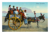 Sicilian Cart with Donkey  Italy