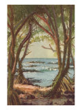 Pandanus Forest on Shore  Hawaii