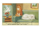 Exotic Cats