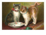A Happy Birthday  Cats with Milk