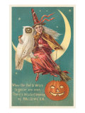 Witch and White Owl