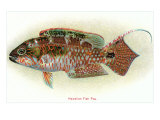 Hawaiian Fish  Pou
