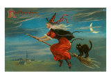 Halloween  Witch and Cat on Broom